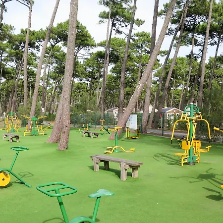 Camping Le Vieux Port 213s Messanges (Landes)